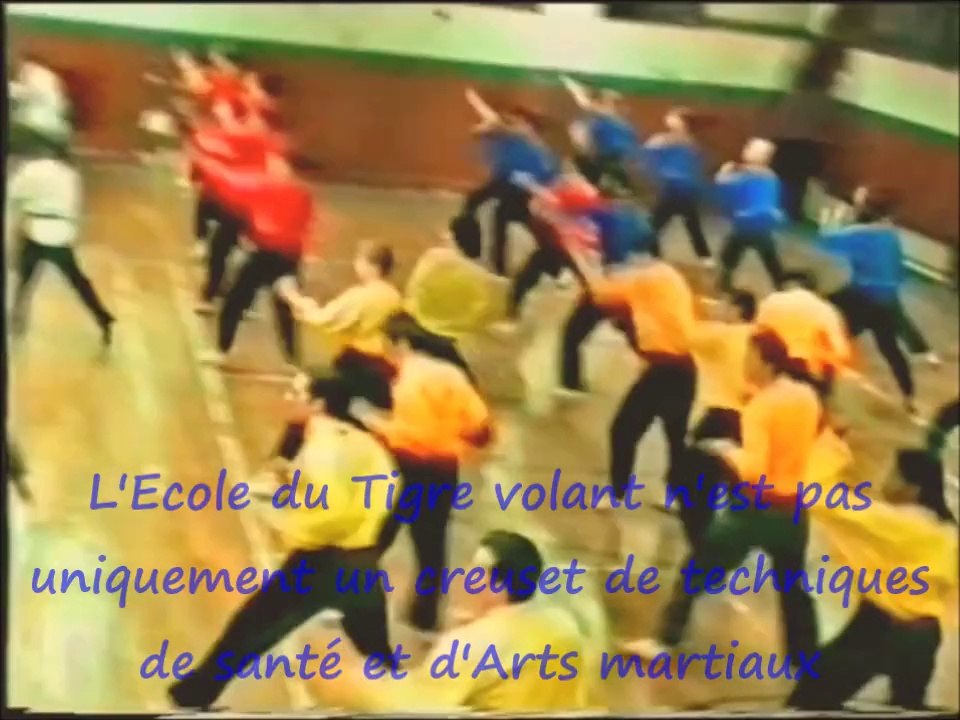 Philosophie des Arts martiaux par Tran-kinh master