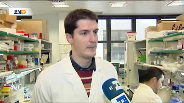 Estudio descubre el proceso de la metástasis del cáncer en el cerebro