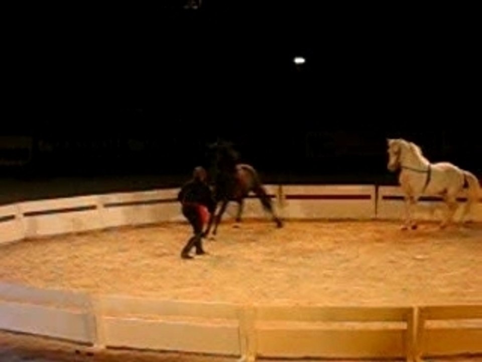 salonducheval 012