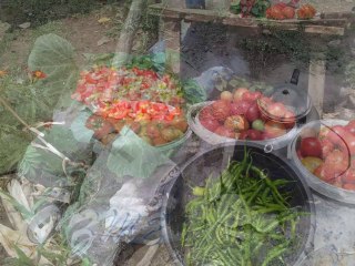 BAŞTÜRK  deveci köyü