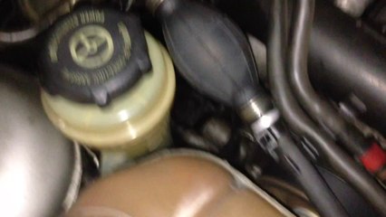 Ford focus bruit poulie