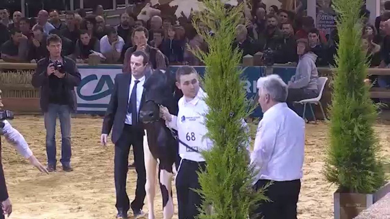 Meilleure mamelle jeune - SIA 2014