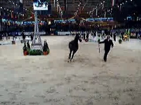 Salon du Cheval 2006