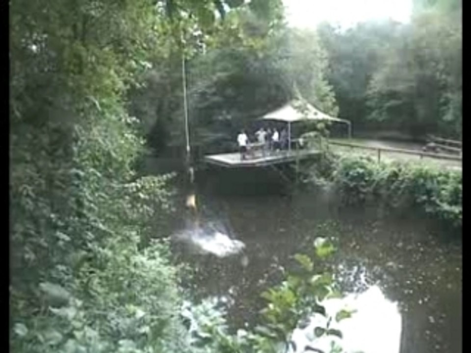 Saut