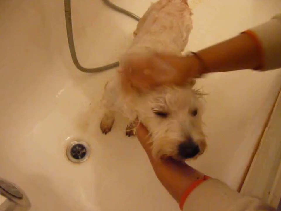 Première douche à la maison