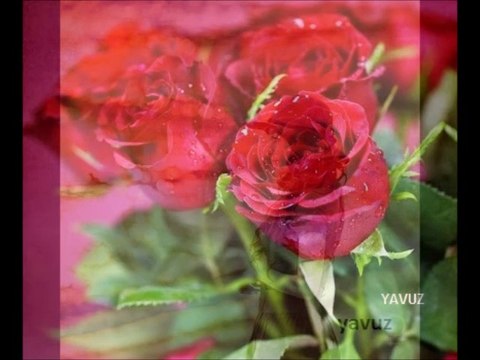 YETKİN KARAKAYA-GÜLÜN ÖMRÜ BENİM OLSUN