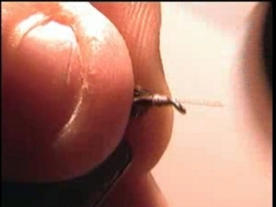 sedge