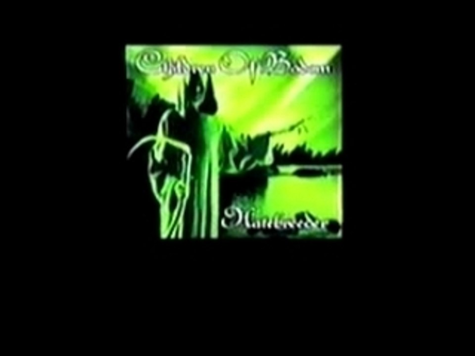 Children Of Bodom : Downfall