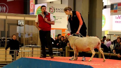 2014-03-Salon Agriculture-Les races ovines du Massif Central