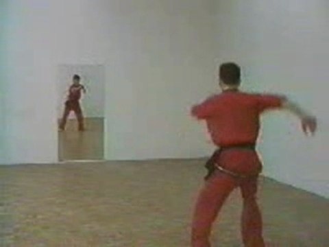 kung-fu hoang nghi coups de pied sautés