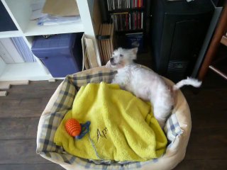 April se sèche dans le lit après la douche