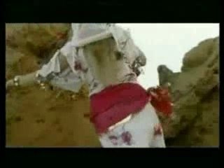 M.Lamine - Chaba Omri Chaba