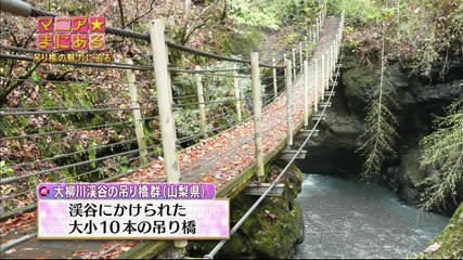 マニアまにある 2013-10-26「吊り橋男子」