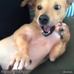 That Pause Before You Sneeze!.