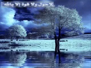قصة روعه تبين ثبات مسلمة صالحه - الشيخ خالد الراشد