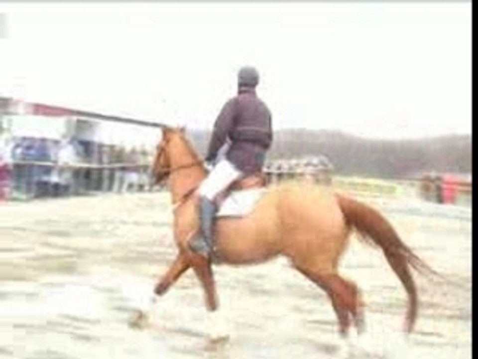 Tholienny à Jussac