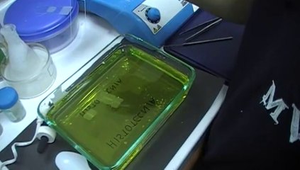 Microtomia y pesca del tejido