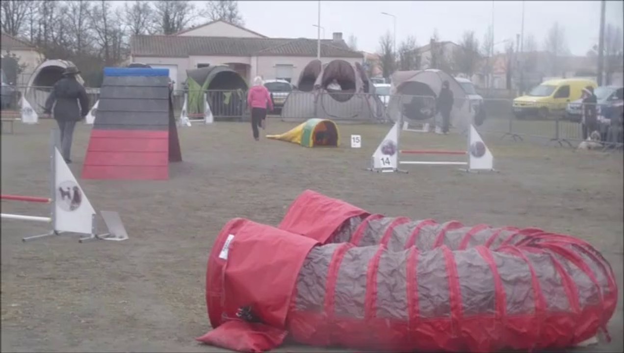 Vodka Concours des Sorinières 2014-03-02