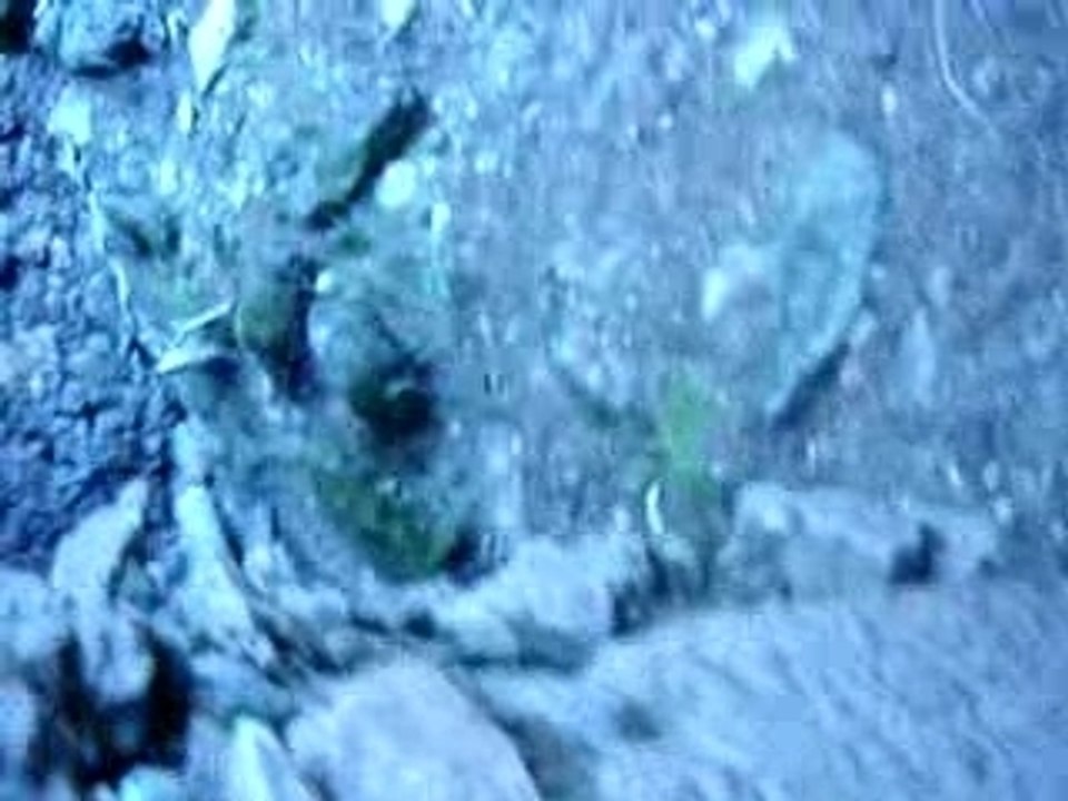 Le Projet Blair Witch à la con !