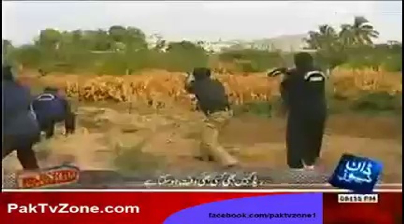 1Raid on Dawn News