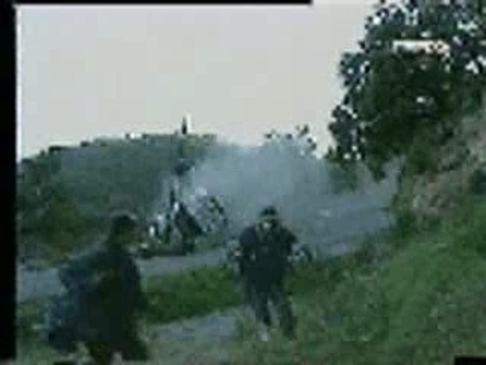 Crash de Panizzi en 206 WRC