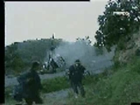 Crash de Panizzi en 206 WRC