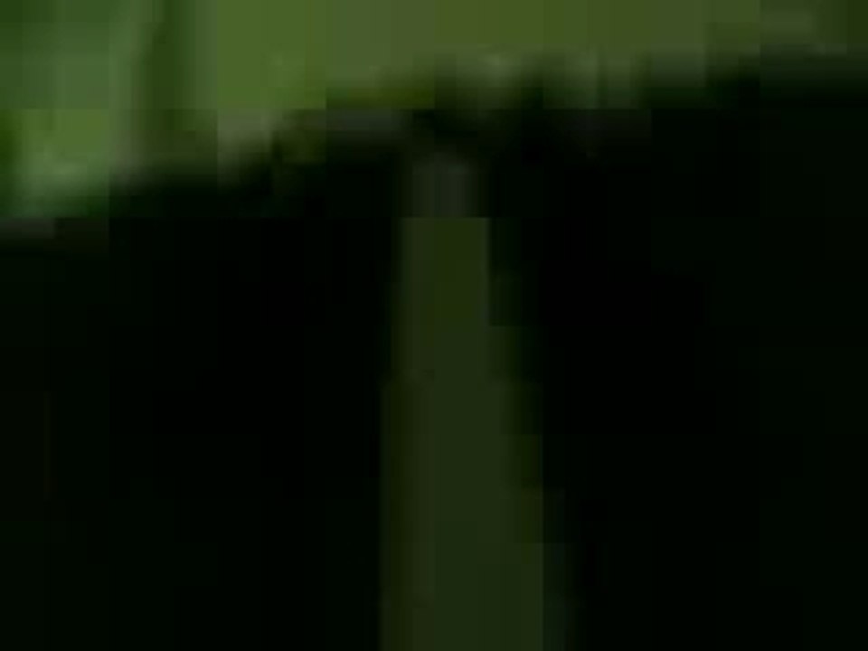 ninja en carton