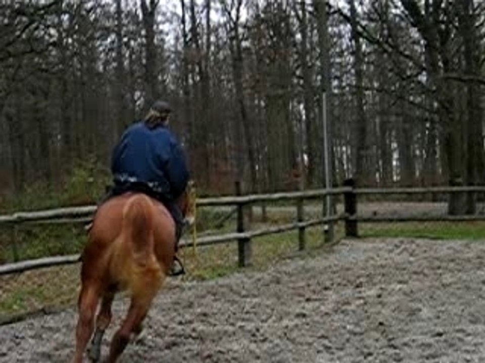 Entrainement CSO  Kass 050