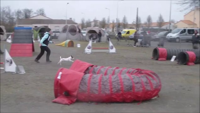 Foxy Concours des Sorinières 2014-03-02