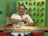 ŞEKER - KİLO PROBLEMİ )