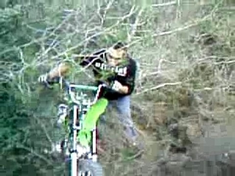 résulta de la gamel en dirt lol