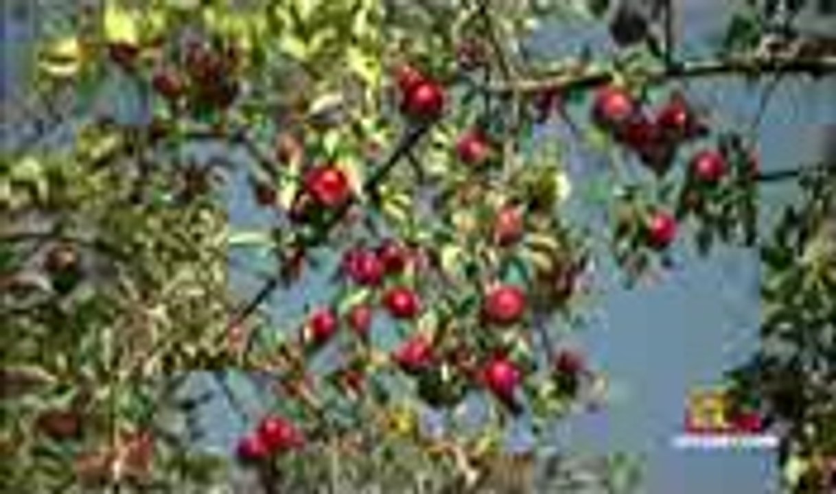 Space Documentary - The Next Big Bang