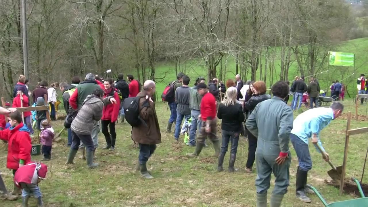 ARBUS 2014 Un pépin sur la route