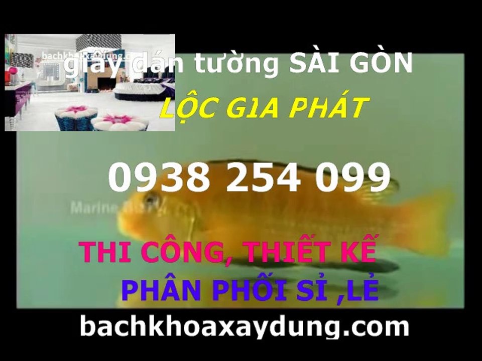 chuyen tu van giay dan tuong quan 10** 0938254099
