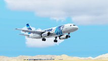 FSX EgyptAir Airbus A320 Landing @ Sharm El Sheikh ( Outside ) ( HD )
