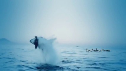 Compilation de WINFAIL de malade. Enjoy!!! Mars 2014