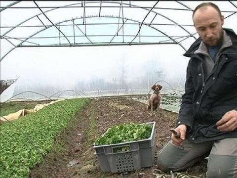 Couveuse pour jeunes agriculteurs - 01/03