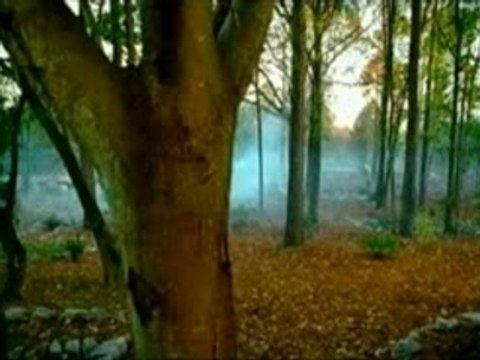 2Pac ft Ashanti & .T.I. - Pac-'s Life