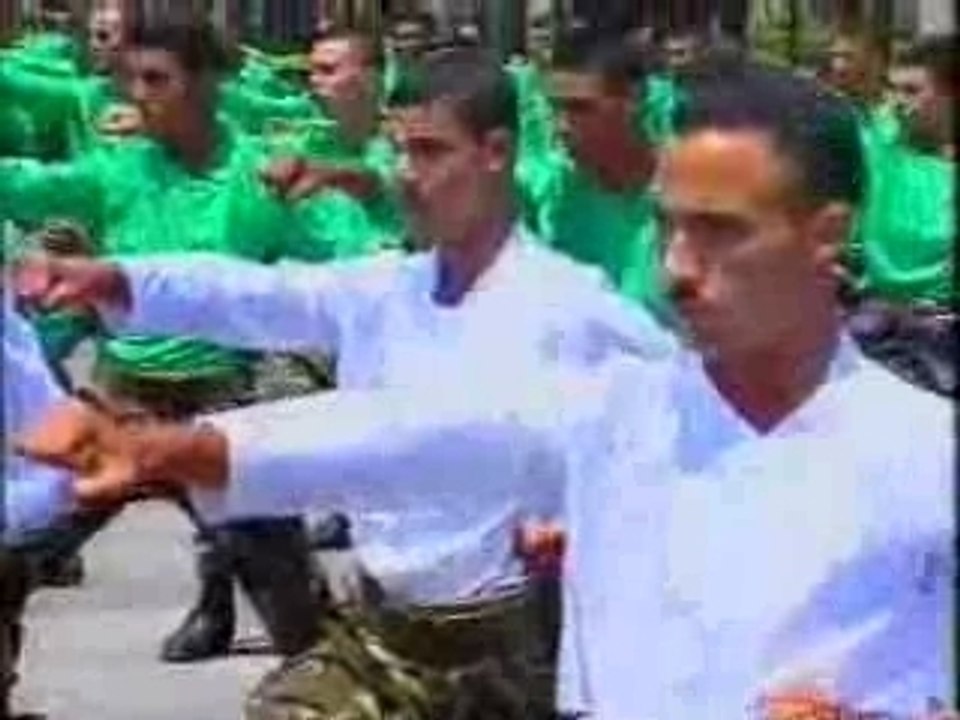 Armée algerienne