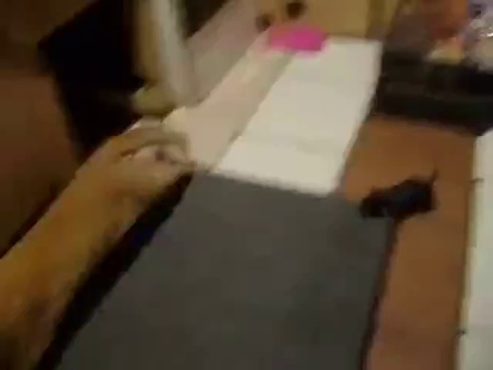 Real Life Tom und Jerry