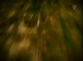 Жёсткая посадка