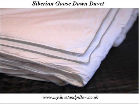 Siberian Goose Down Pillow