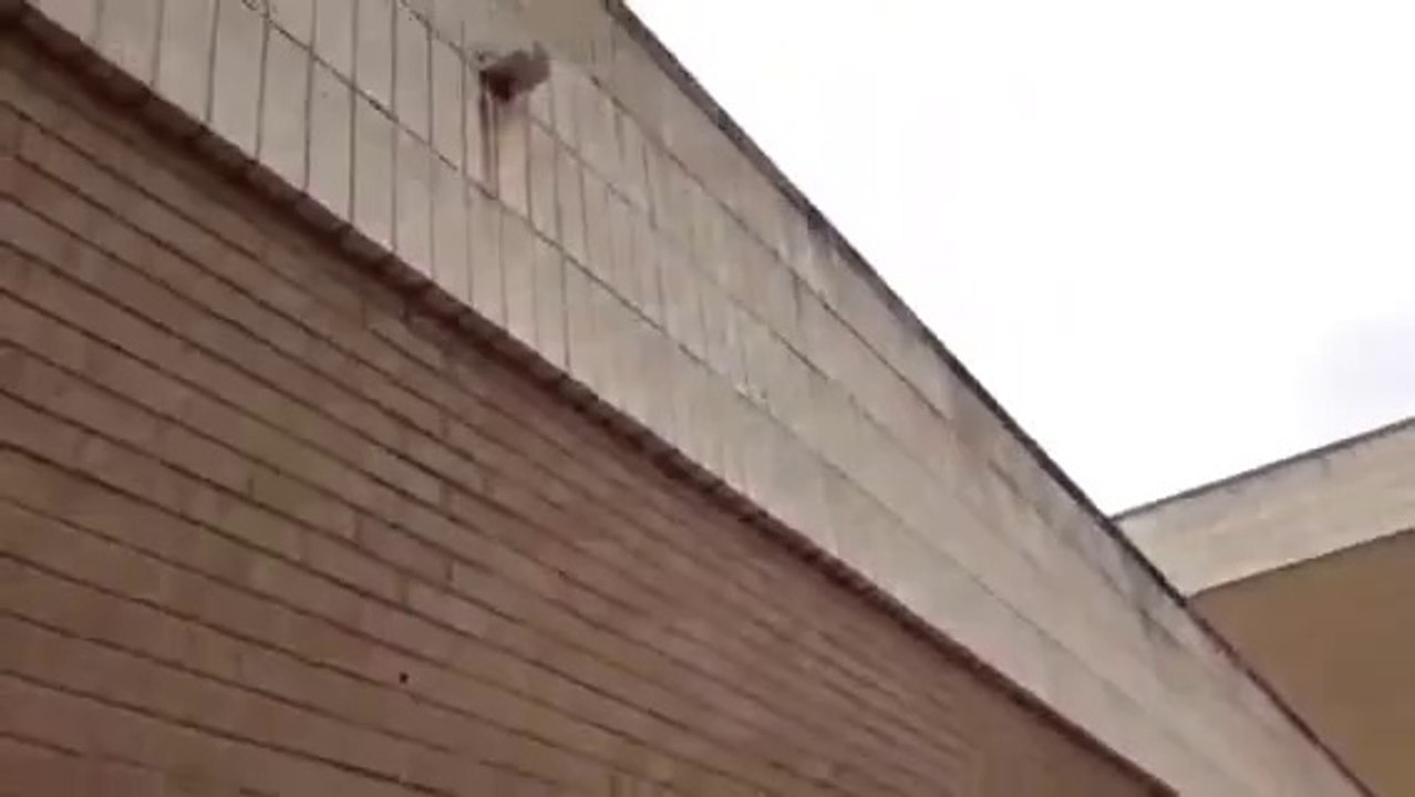 Amazing bottle flip