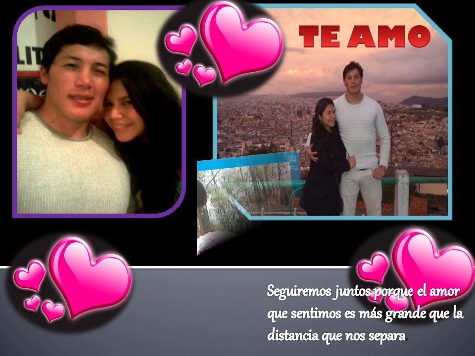 12 meses
