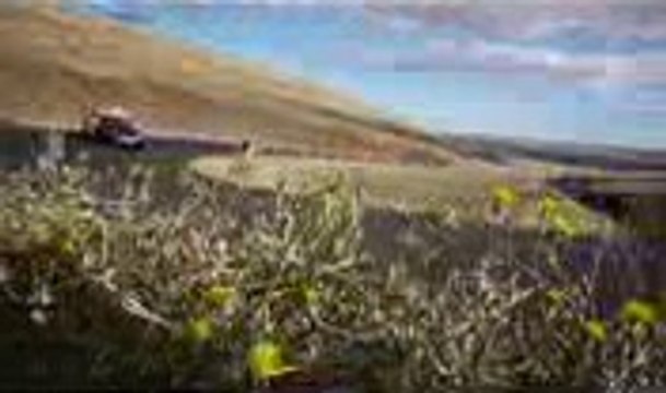 INCREDIBLE!!!!!!!!!!!! Police chase bikes, incredible drifting HD