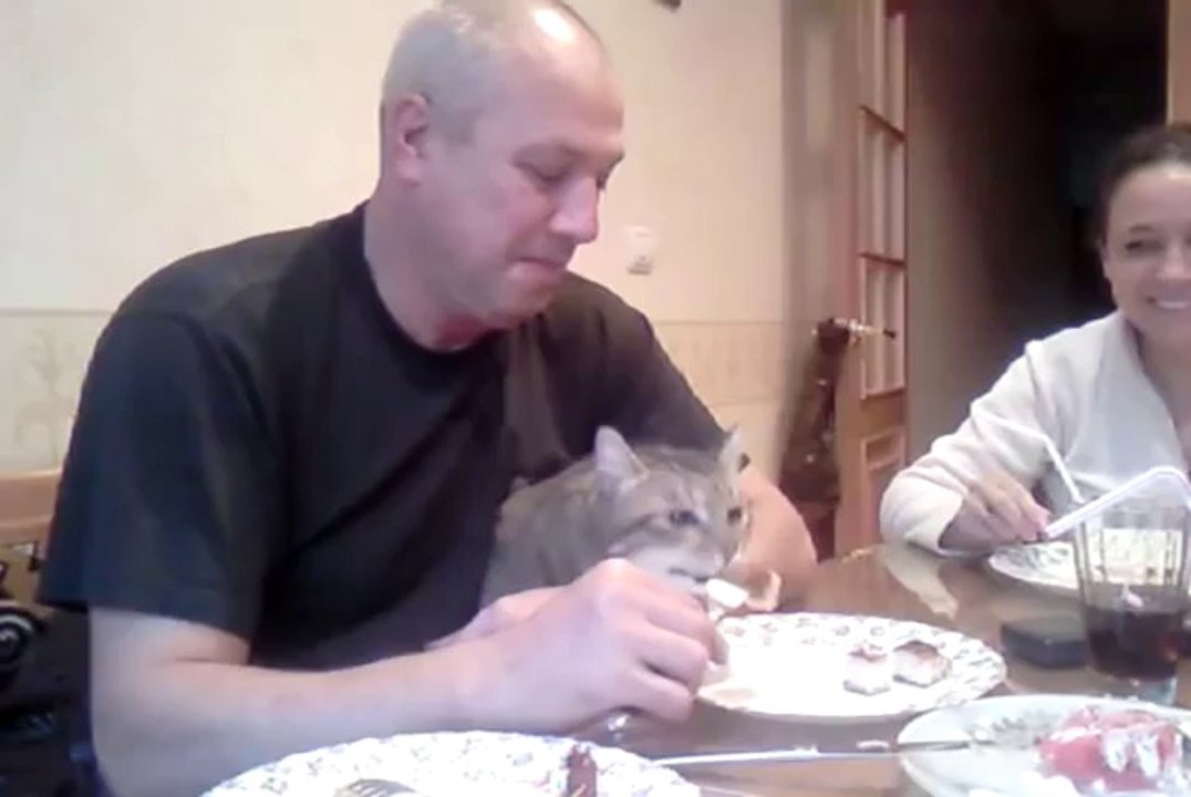 Kein Wunder dass die Katze fett ist