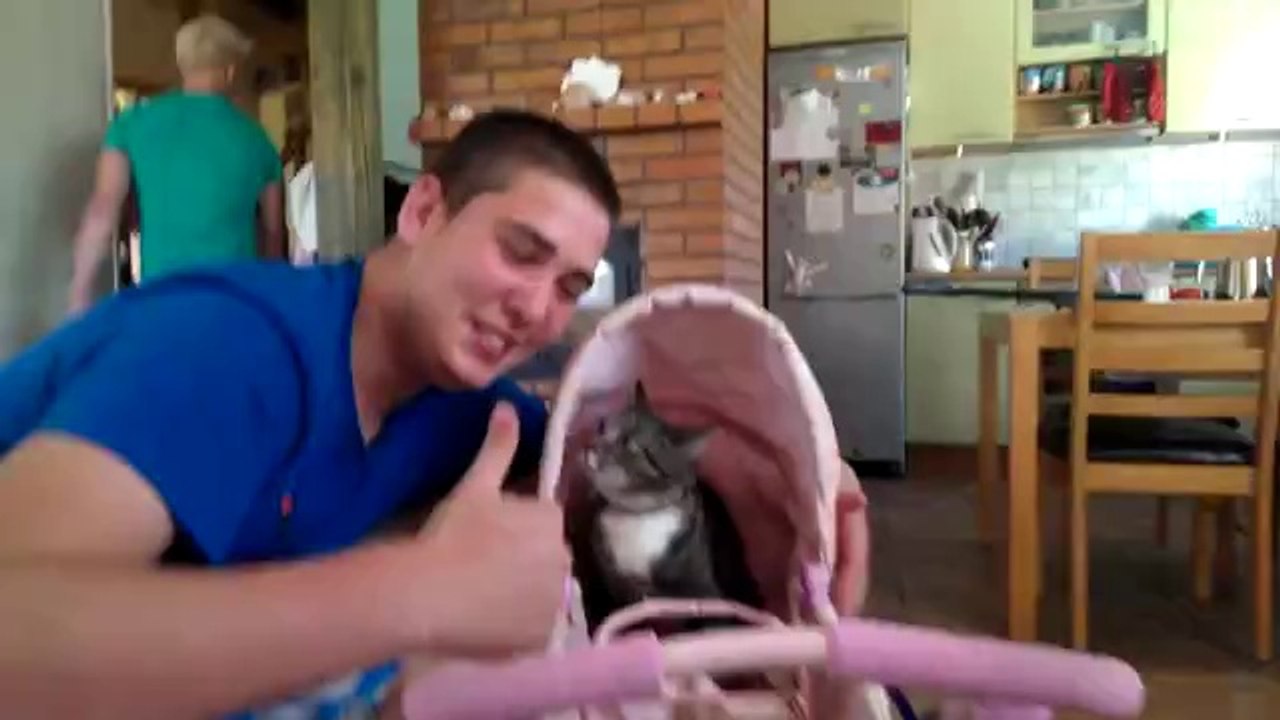 Kerl bekommt von der Katze eins in die Fresse