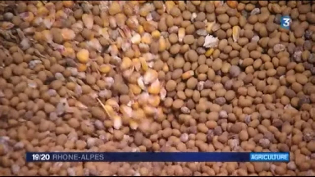 Rencontre avec un agriculteur qui a choisi l'autonomie alimentaire ....
