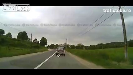 Kuh befreit sich selbst vom Anhänger