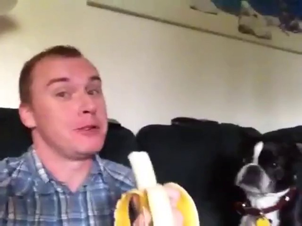 Mit dem Hund eine Banane teilen